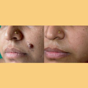 Website photos 2024 02